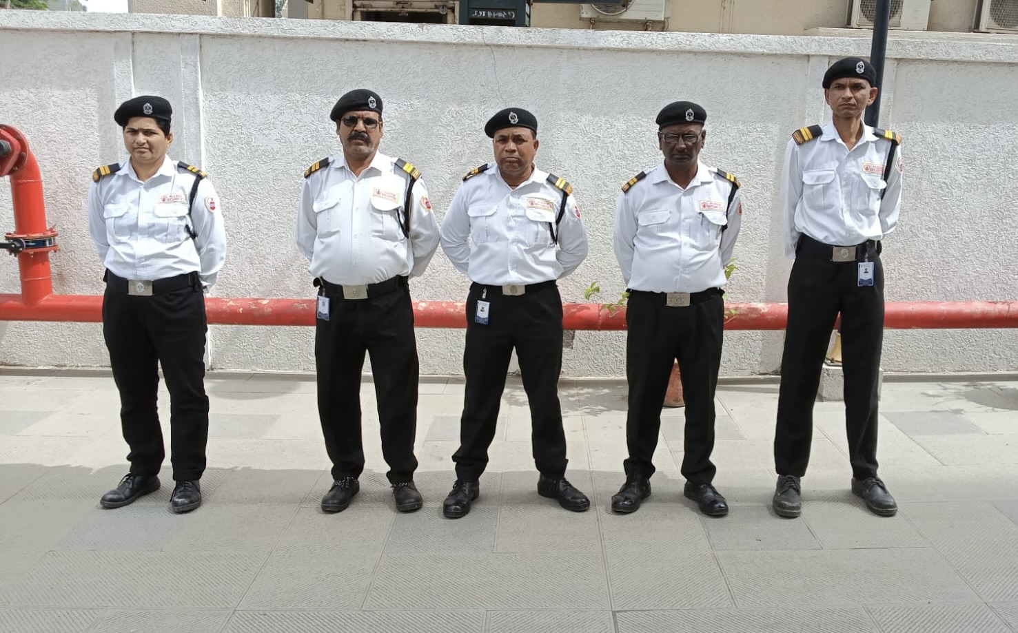 Professional Security Services